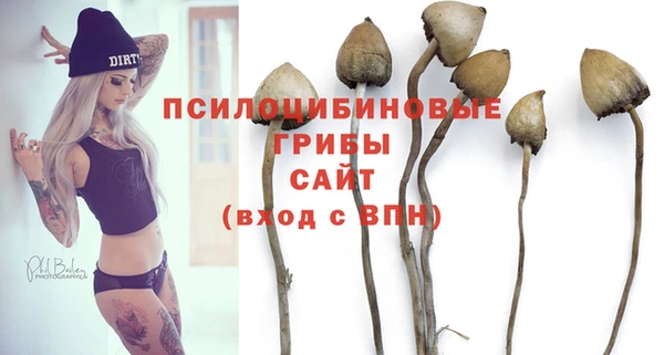 прущая мука Володарск