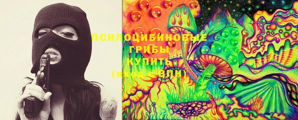 гашик Волоколамск