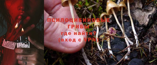 гашик Волоколамск