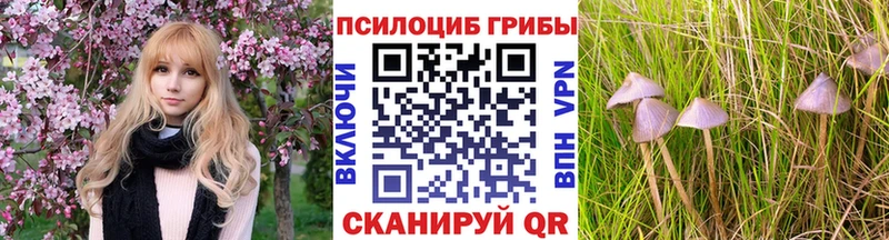 Купить закладки  Мирный  Псилоцибиновые грибы Psilocybe 
